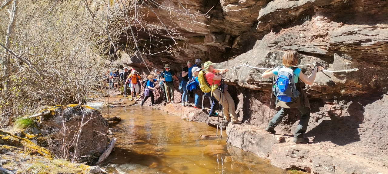 WhatsApp Image 2026-04-08 at 07.40.56 (4)